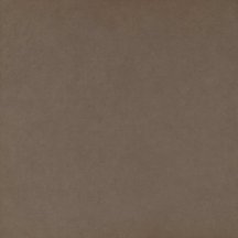 Paradyz Intero Brown 59.8x59.8