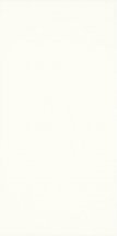 Paradyz Moonlight Bianco 29.5x59.5