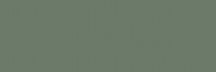 Paradyz Nightwish Green Wall Rekt 25x75