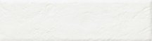 Paradyz Scandiano Bianco Elewacja 6.6x24.5