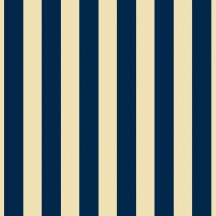 Petracers Grand Elegance Riga Grande Blu Su Crema 20x20