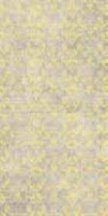 Petracers Sartoria Damasco B Oro 50x100