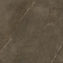 Porcelanosa Assuan Brown 59.6x59.6