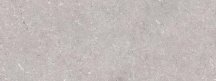 Porcelanosa Coral Acero 45x120