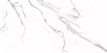 Prime Ceramics Carrara 60x120