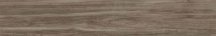 Prissmacer Alessandria Camel 19.5x120