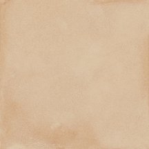 Ragno Amuri Biscotto 20x20