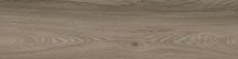 Ragno Escape Tortora 12.5x50