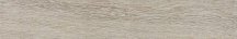 Ragno Harmony Tortora 15x90