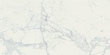Ragno Imperiale Bianco Glossy Rect 58x116