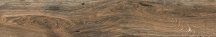 Ragno Iroveri Fusto 20x120