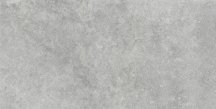 Ragno Richmond Silver 60x120