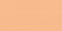 Rako Easy Orange 20x40