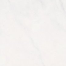 Refin Prestigio Carrara Lucido R 60x60