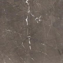 Rex Heritage Luxe Brown Glossy 6 mm 120x120