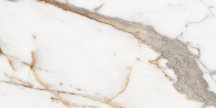 Rex Les Origines Or Glossy 6 mm 160x320