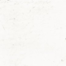 Ricchetti Pure Carrara Lux 59.6x59.6