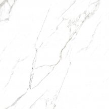 Rondine Canova Statuario Full Lappato Rect 60x60