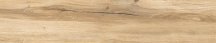 Rondine Daring Honey 24x120