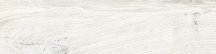 Rondine Daring Ivory 15x61