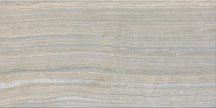 Rondine Eramosa Silver 30x60