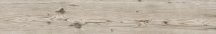 Rondine Living Tortora 15x100