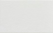Saloni Albar Blanco Mate 25x40