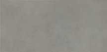Saloni Pigments Gris Antid 30.5x60.5