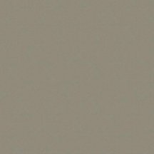Saloni Proyeccion Bronce 45x45