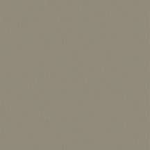 Saloni Proyeccion Bronce 60x60