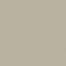 Saloni Proyeccion Gris 45x45