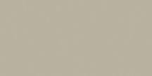 Saloni Proyeccion Gris 60x120