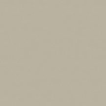 Saloni Proyeccion Gris Antid C2 60x60