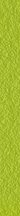 Sant Agostino Flexible Architecture Listello Green Mat 2.2x30
