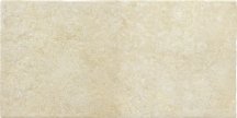 Savoia Tufi Beige R10 21.6x43.5