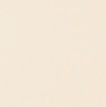 Seranit Heavy Duty Beige 20.2x20.2