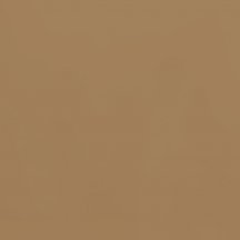 Seranit Serena Brown 120 Polished 60x60