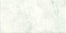 Serenissima Cir Canalgrande Stone Nat. 40x80