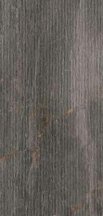 Serenissima Cir Fossil Lines Piombo Ret 30x60