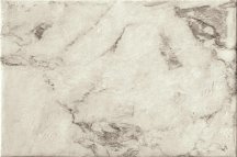 Serenissima Cir Magistra Classic Paonazzetto 40x60.8