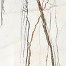 Settecento Lichen Rainforest Naturale 20x20