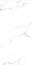 Siena Granito Carrara Bianco 60x120