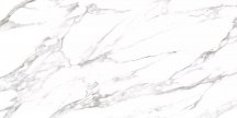 Simpolo Carrara Dove high glossy 79.8x159.8