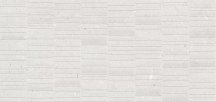 Simpolo Fossil Stx Grv Silver 59.8x119.8