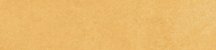 Simpolo Spectra Scs Mustard Glossy 5.8x25
