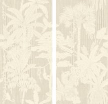 Sodai Journey Greige 60x120