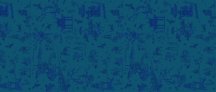 Sodai Silkroad Navy 120x280