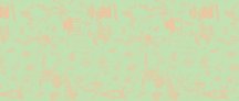 Sodai Silkroad Sage 120x280