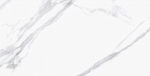Staro Palacio Remix Statuario Polished 60x120