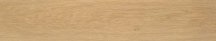 STN Articwood Camel Rect 22.7x119.5